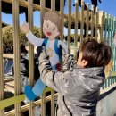 대송 초등학교 이미지