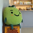 꽃수다 | 콩수다 3회 후기 현대백화점 김규민 MD