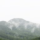 매계조위신도비 이미지