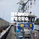 수퍼마리호횟집 | 제주도 배낚시 광명호 인생 첫 지깅낚시 도전! 장비 풀세팅 다 해주는 체험배낚시