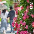 탄현4호 어린이공원 | 과천 서울대공원 가볼만한곳 테마가든 장미원축제 어린이동물원 피크닉 휴정원