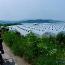 용암면사무소 앞 이미지