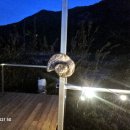 만기2농장 이미지