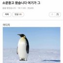 오천2길 이미지