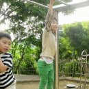 해피콤어린이집 이미지