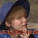 톰하우스