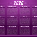 Wellness K(웰니스 케이) 이미지