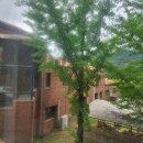 배꽃세탁 | 배꽃나눔실천단 2기 | 대학생 교내 봉사활동 프로그램에 대한 고찰