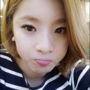 베베미뇽 이미지