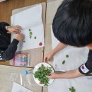 4/15, 삼화초 3-4 이미지