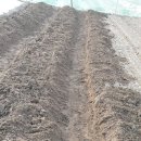 신평석화로 이미지