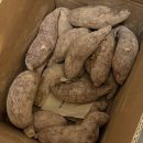 꿀이농장 이미지