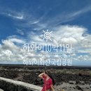 화산농장 | 10박11일 자유여행, 여행일정[그린웰팜스(코나커피농장)-&gt;다포케쉑-&gt;블랙센드비치-&gt;하와이화산국립공원]