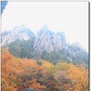 백담사 - 1362 | 백담사