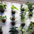 수경이네 세탁소 이미지