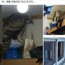 전주동물원 | 전주 데이트코스 전주 아이랑 가볼만한곳 전주동물원 후기