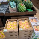 진양농협 하나로마트 이미지