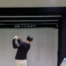 상남동239 이미지