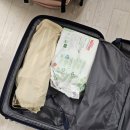 프렌즈포유 | 11개월 아기랑 제주도여행 (해피렌트카/먹돌/마미포유/새별프렌즈/롯데호텔 온돌룸/롯데호텔 해온)