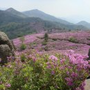 나한의원(쌍봉사거리) 이미지