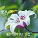 행운 이미지