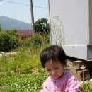 아가숲어린이집 이미지