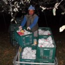 밝음농장 이미지