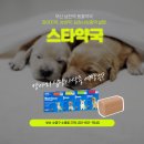 탑스타약국 이미지