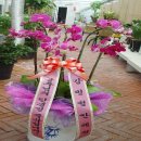 메리엘산부인과의원 이미지