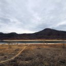 세종행정사사무소 이미지