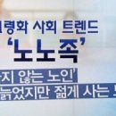 도사보건진료소 Daum카페