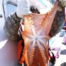 해변 낚시마트 이미지