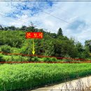 부용농장 이미지