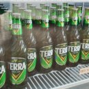 김포식당 | 김포캠핑식당 캠프그레잇 후기｜서울 근교 당일 캠핑 가능한 김포애견동반 맛집