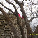 비아중학교 이미지