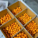 호야, 내아이 이미지