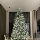 호텔 엘 | 거제 벨버디어 스위트(호텔형) 다녀왔어요, 객실 내부, 조식 뷔페 엘플로어 솔직후기