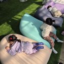 고려농장 | 춘천 딸기농장 포포렛🍓 딸기따기체험 후기