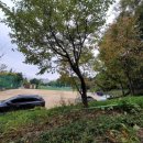 증산-003 이미지