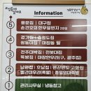 마장동 순대 맛집 종필엄마족발 후기