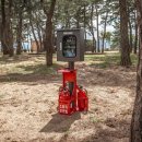 솔향기캠핑장 이미지