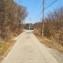 남선초교 이미지