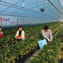 박동철농장 이미지