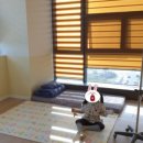 개나리소아청소년과병원 네이버블로그