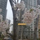 봉오재공원 이미지