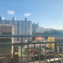 해모로약국 이미지