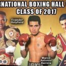 국제복싱 이미지