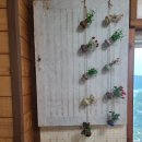 복.시골집 이미지