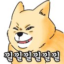 더블유헤어컷 이미지