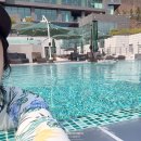 제천 포레스트 리솜 HAVE9 해브나인 실내스파 실외스파 아쿠아플레이존 스톤스파 이벤트스파 정보 후기